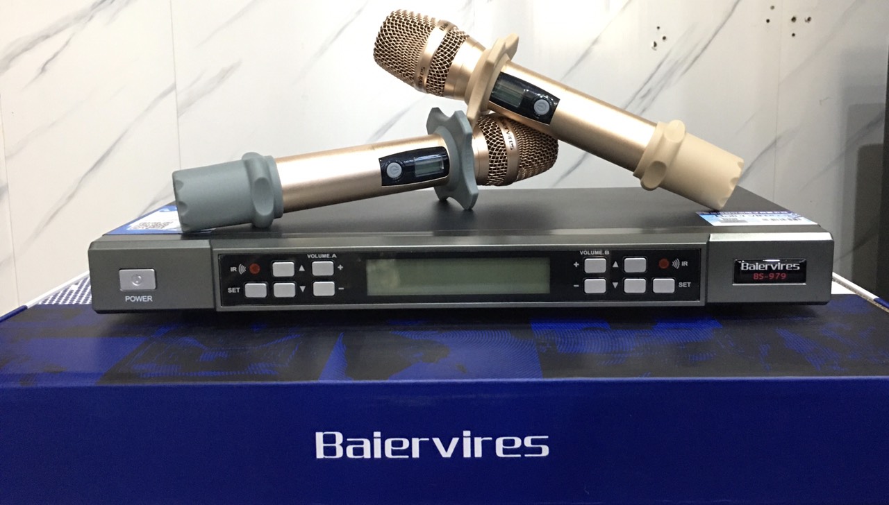 MICRO BAIERVIRES BS 979