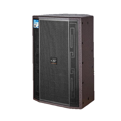 Loa kiểm âm liền công suất M-12A